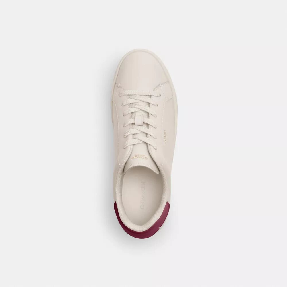 High Line Sneaker