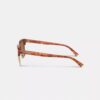 Retro Sunglasses