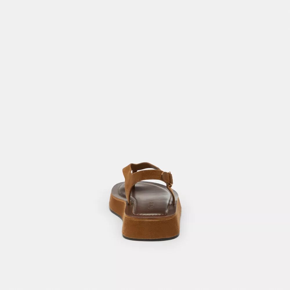 Sculpted C Platform Thong Sandal
