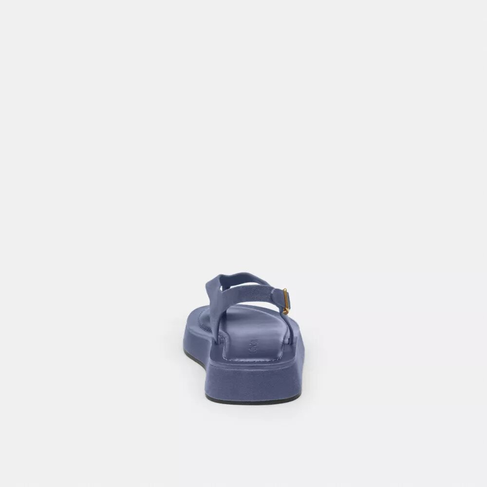 Sculpted C Platform Thong Sandal