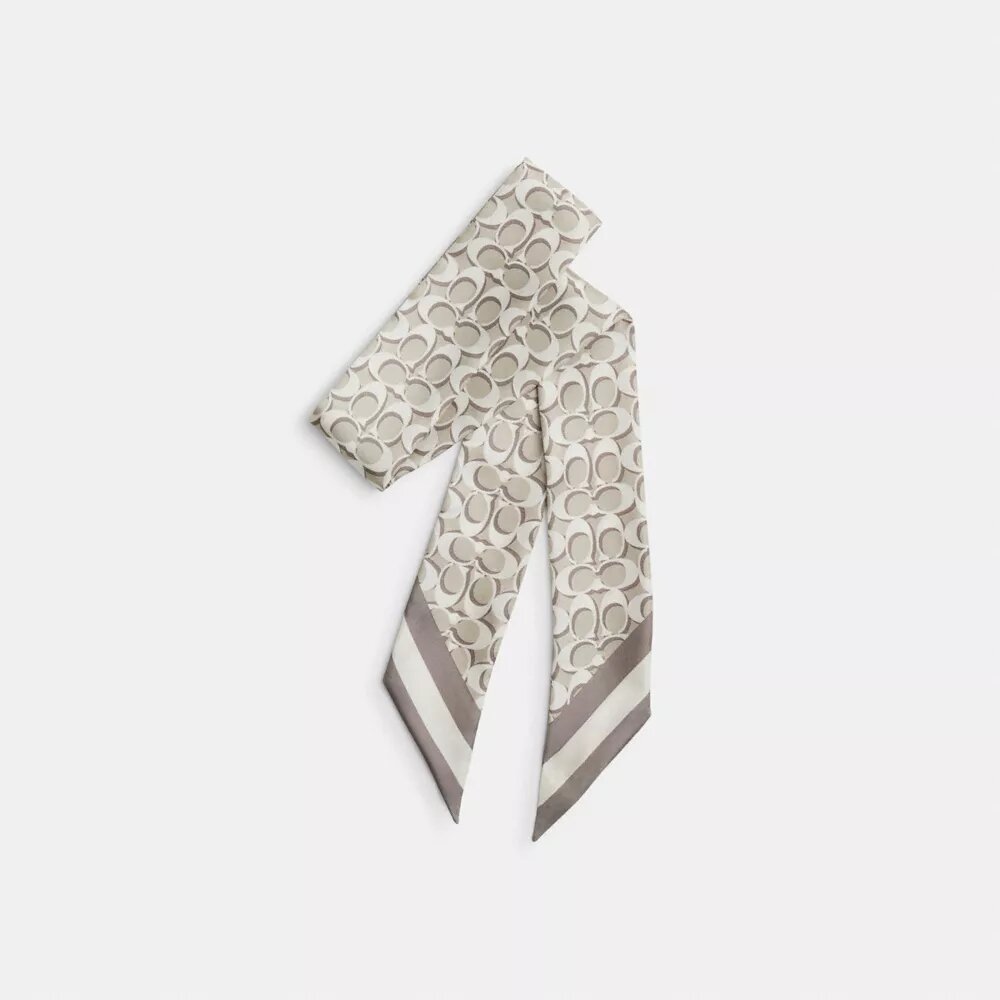Signature Silk Skinny Scarf