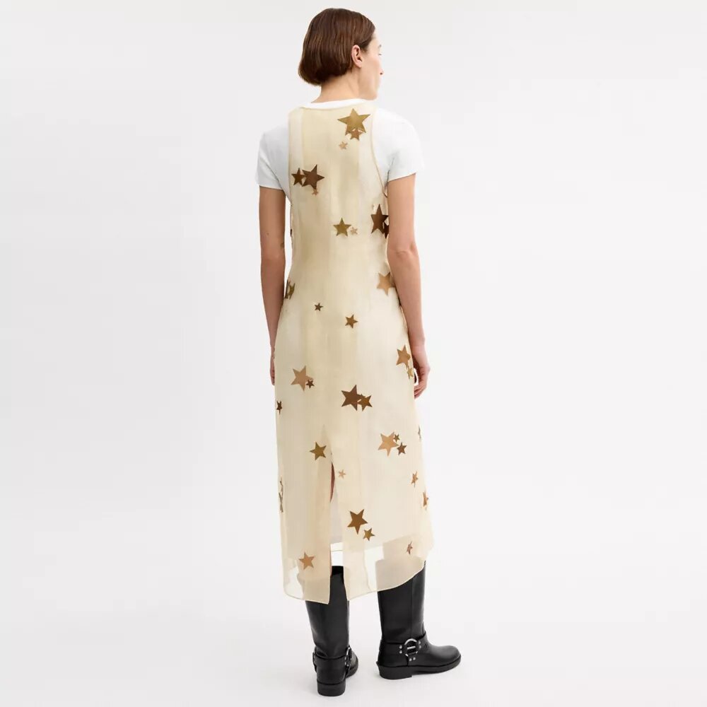 Star Organza Dress